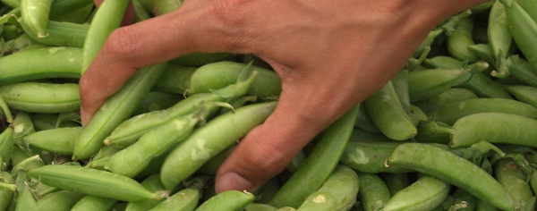 The more plant-based foods – beans, pulses, vegetables and fruit – in your diet, the lower the saturated fat as a rule